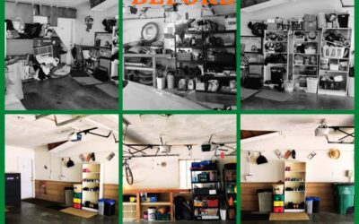 How an Almost Empty Nest Led to an Almost Empty Garage